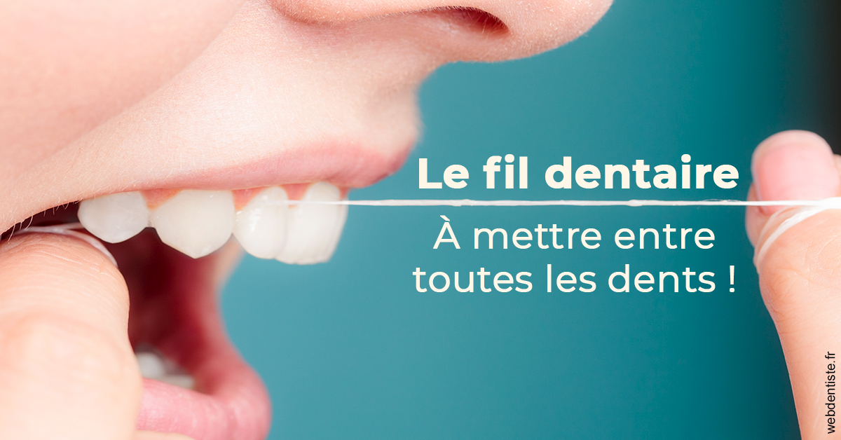 https://dr-leroy-gregory.chirurgiens-dentistes.fr/Le fil dentaire 2