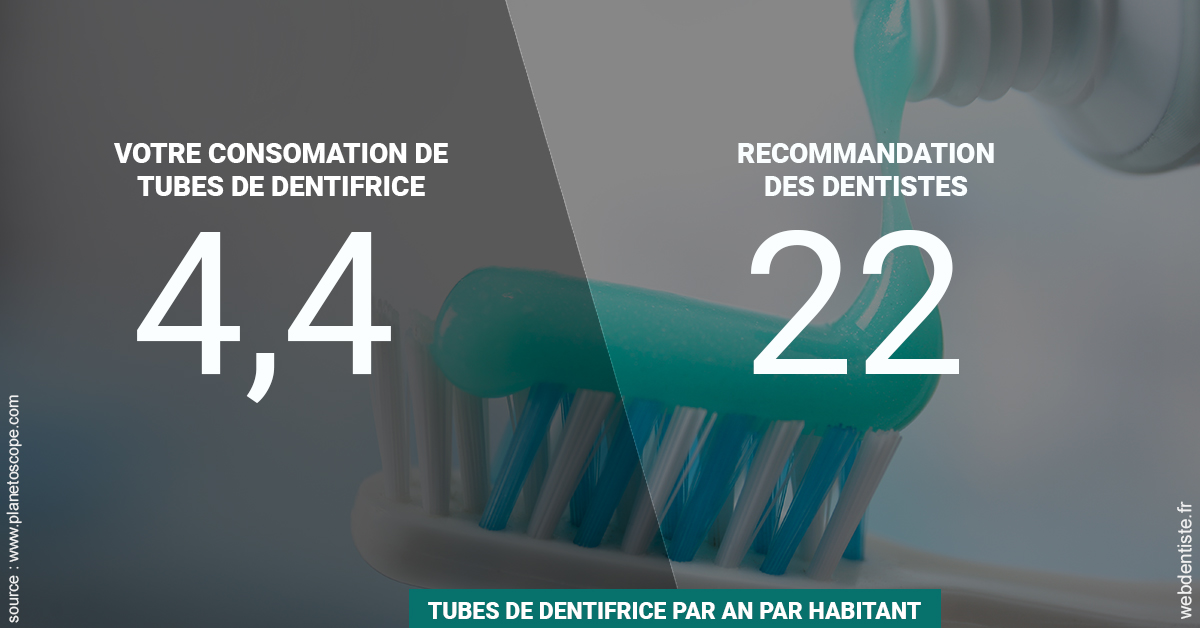 https://dr-leroy-gregory.chirurgiens-dentistes.fr/22 tubes/an 2