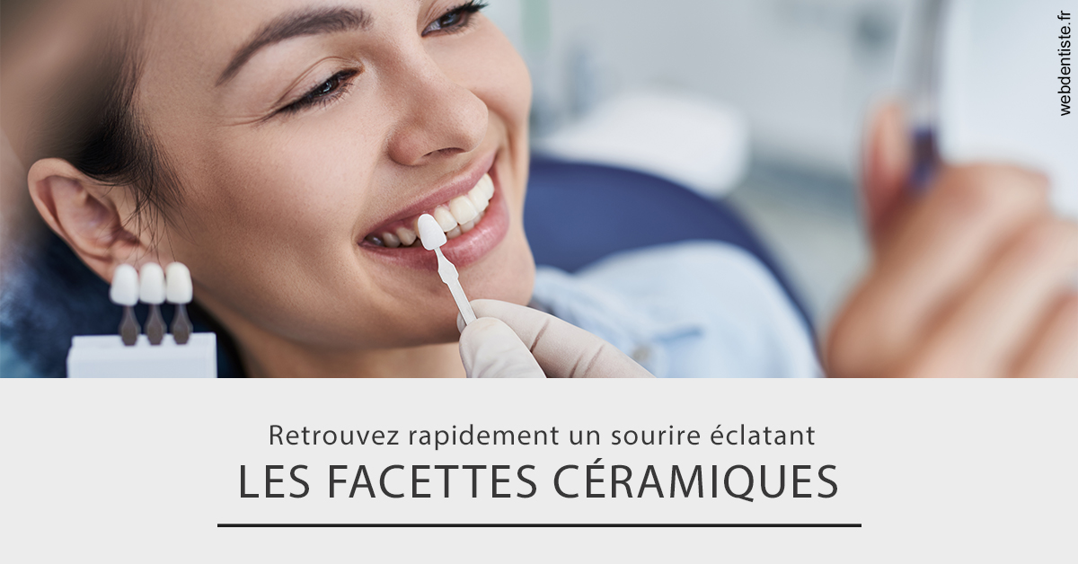 https://dr-leroy-gregory.chirurgiens-dentistes.fr/Les facettes céramiques 2