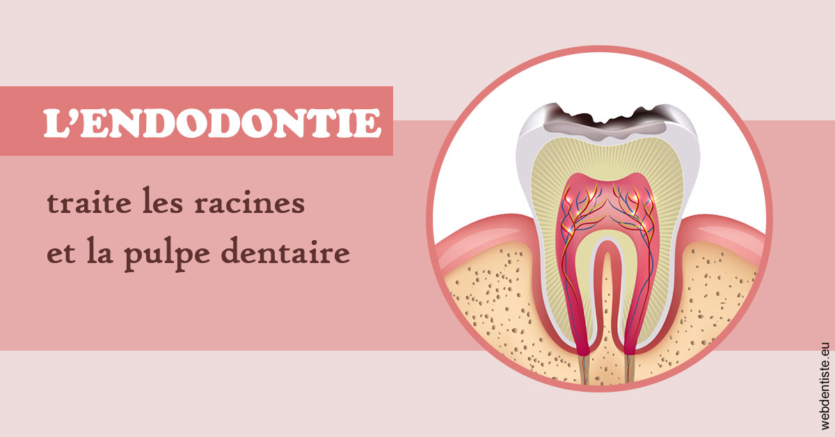 https://dr-leroy-gregory.chirurgiens-dentistes.fr/L'endodontie 2