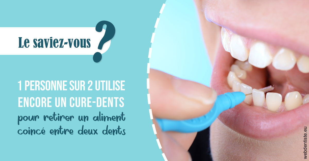 https://dr-leroy-gregory.chirurgiens-dentistes.fr/Cure-dents 1